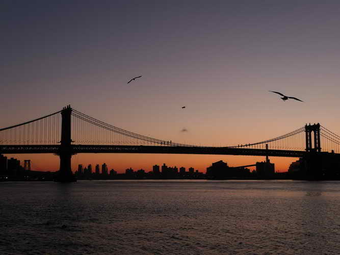 NYC_2020-01-26 06-57-52_P1070380